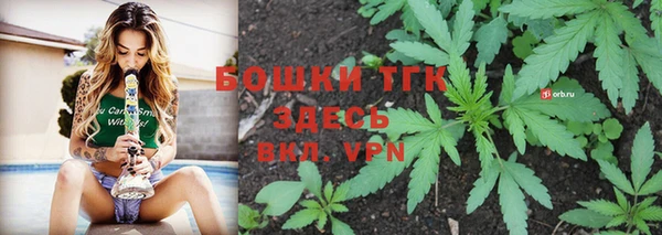 соль ск Алзамай