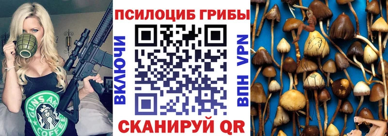 Галлюциногенные грибы MAGIC MUSHROOMS  ОМГ ОМГ онион  Камызяк 
